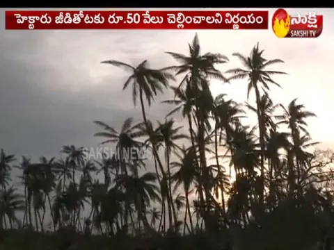 AP CM YS Jagan Double Ex Gratia To Titli Cyclone victims