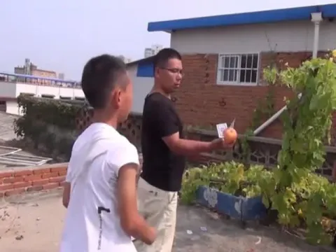 China Boy Cut Fruits By Throwing Cards