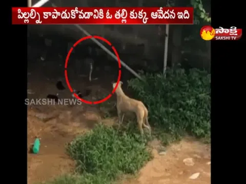  - Sakshi