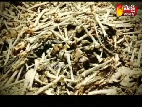 Secret-what happened in cambodia