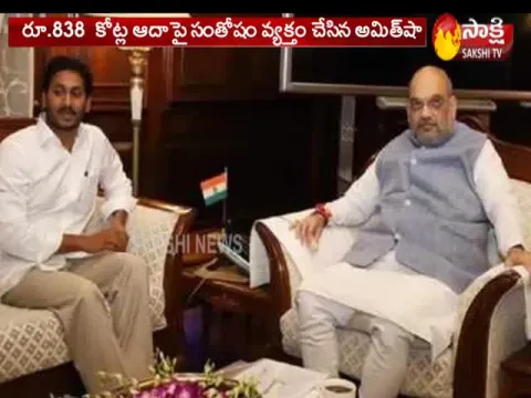AP CM YS Jagan Meets Amit Shah