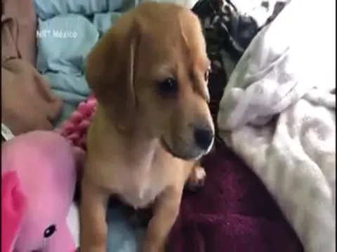  - Sakshi