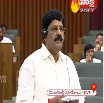 Anam Ramanarayana Reddy Slams TDP Leader in AP Assembly