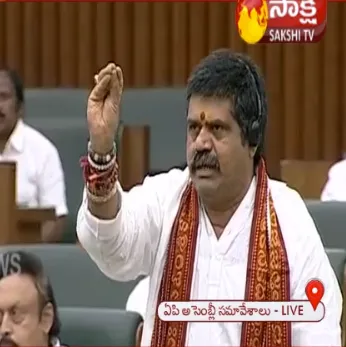 Avanthi Srinivas Demands Sorry From Chandrababu Naidu