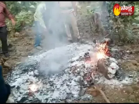 New Twist In Lion Murder In Adilabad District