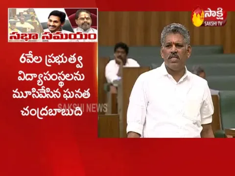 Chandrababu was the one who did business With Education Says Chevireddy Bhaskar Reddy - Sakshi