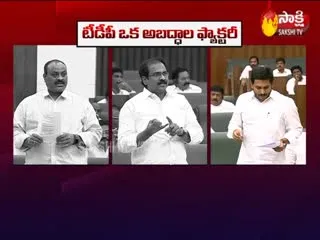 CM Ys Jagan Slams TDP MLAs In Ap Assembly - Sakshi