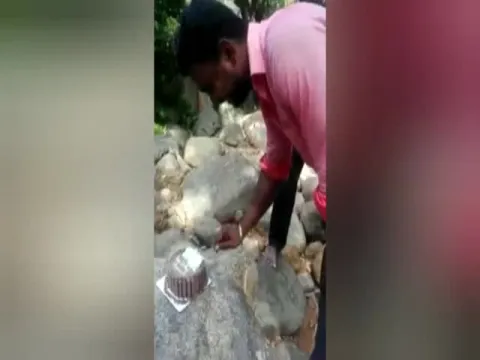 Viral Video: Monkey Steals Birth Day Cake- Sakshi