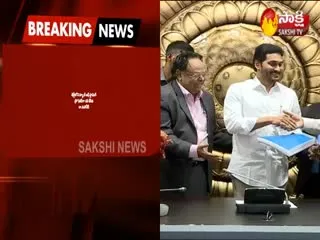 GN Rao Committee Submits Report To YS Jagan On AP capitals  - Sakshi