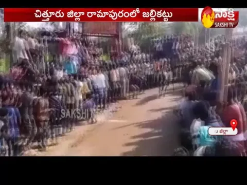 Jallikattu Celebratons in Chandragiri Mandal - Sakshi