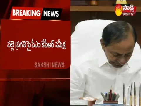 KCR Review Meeting On Palle Pragathi - Sakshi