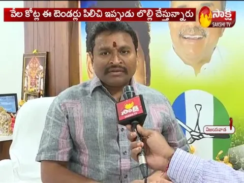 TDP No Right To Talk About Amaravati Says Minister Vellampalli Srinivas - Sakshi