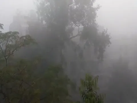 Fog effect, Delhi-bound trains cancelled