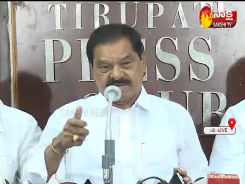 AP Deputy CM Narayana Swamy Comments On Chandrababu Naidu - Sakshi