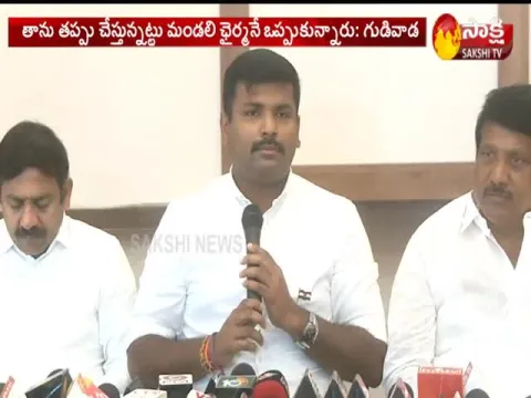 Decision Of The Chairman Of The Council Is Undemocratic Says Gudivada Amarnath Reddy - Sakshi