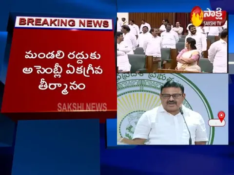 YSRCP MLA Ambati Rambabu Fires On Chandrababu And Lokesh - Sakshi