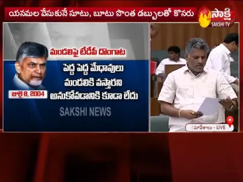  YSRCP MLA Chevireddy Bhaskar Reddy Fires On Chandrababu Naidu- Sakshi