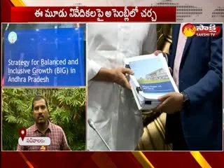 BCG On AP Capital Report Submitted To CM Jagan - Sakshi