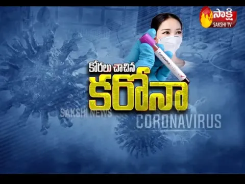Sakshi Special Edition On Coronavirus Doctors Suggestions - Sakshi