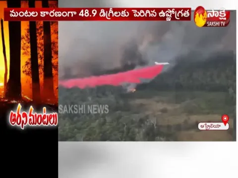 Climate change: The devastation of Australia's ocean