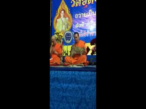 Cat Disturbs Buddhist Monk During 5-Hour-Long 