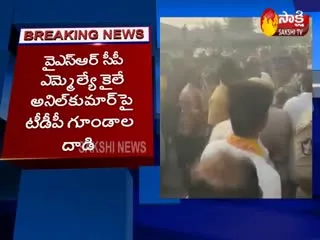 TDP Rowdies Attacks On YSRCP MLA Kaile Anil Kumar - Sakshi