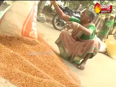 Pulses Purchases From Today Onwards