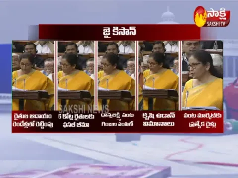 Union Budget 2020 : Budget for Farmers - Sakshi