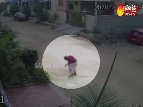 Street dog attack on boy Sangareddy District - Sakshi