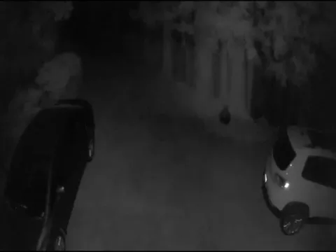 Viral Video: Mysterious Object Caught On camera - Sakshi