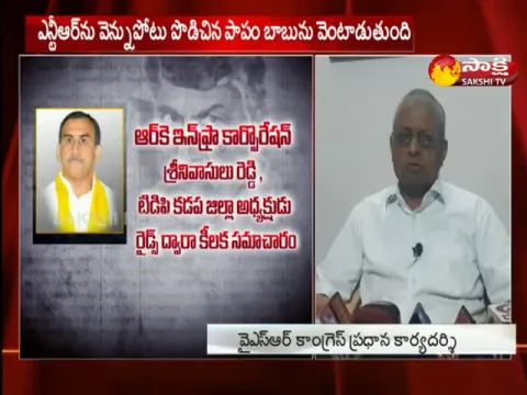 Dadi Veerabhadra Rao Fire On Chandrababu Naidu Over Corruption - Sakshi