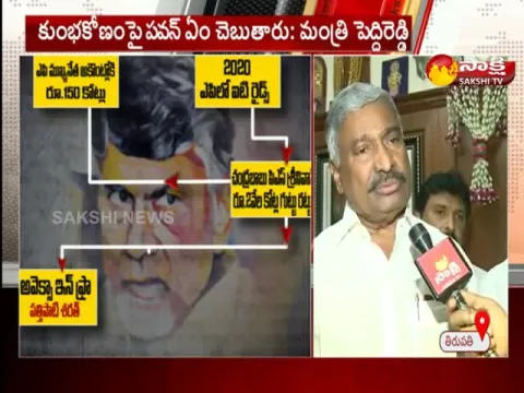 Peddi Reddy Ramachandra Reddy Demanding To Enquiry On Chandrababu Corruption - Sakshi
