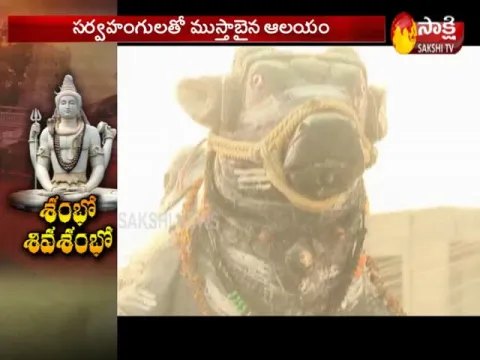 Maha Shivaratri Celebrations In Vemulawada