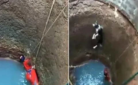 Viral Video: Women Wins After Rescuing Dog From Well In Mangalore - Sakshi