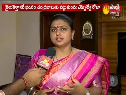 MLA Roja Takes On Chandrababu Over Bus Yatra