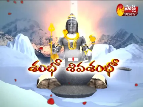 Maha Shivratri Celebrations:Huge Crowd in Temples