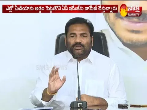 YSRCP MLA Kotamreddy Sridhar Reddy Fires On Chandrababu - Sakshi