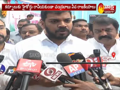 Minister Anil Kumar Yadav Comments On Chandrababu - Sakshi