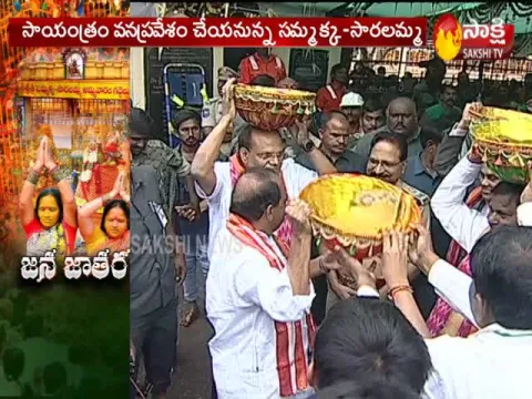 Huge Crowd In Medaram Jatara 