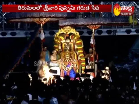 Srivari Punnami Garuda Seva 2020 in Tirumala - Sakshi