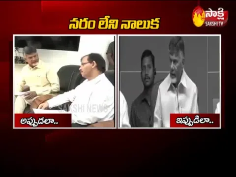 Chandrababu Naidu Tongue Slip