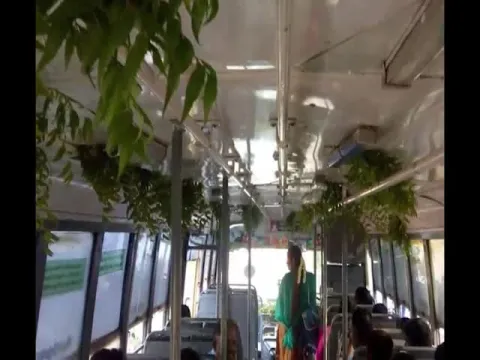 COVID 19 Neem Leaves And Turmeric Powder Spread in Village Bus
