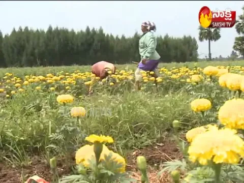  - Sakshi