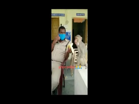 Coronavirus: Cop Feeds Banana To Monkey With No Hands