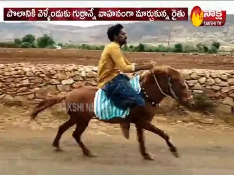 A Farmer innovative Ideas During Lockdown In YSR District