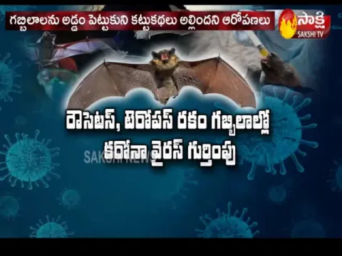 Corona virus Didn't Attack Bats Or Not