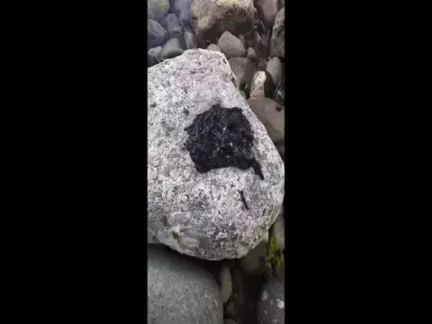 Bizarre Black Venom Video Goes Viral On Social Media