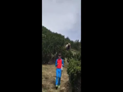 Viral Video Of Bear Follows Boy But How He Was Avoids An Attack 
