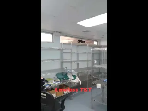 Monkey Hulchul In Hospital at Trinidad and Tobago Video Gone Viral