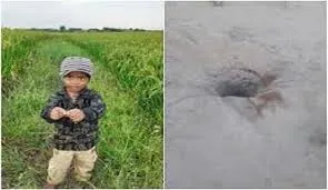 3 Years Old Boy Dies After Falling in Borewell in Medak District